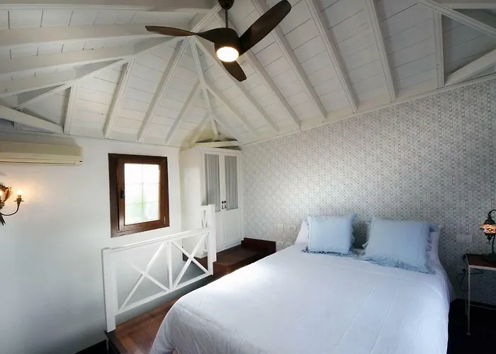 Limonero Puerto de la Cruz