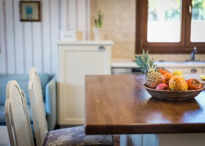 Limonero Puerto de la Cruz