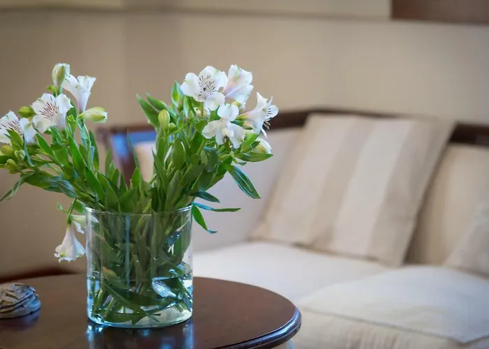 Limonero Nyaraló Puerto de la Cruz