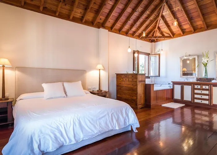 Limonero Puerto de la Cruz