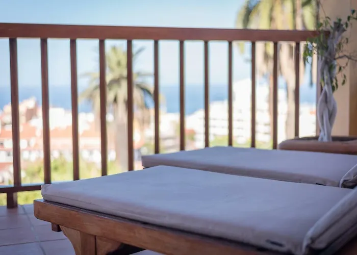 Limonero * Puerto de la Cruz