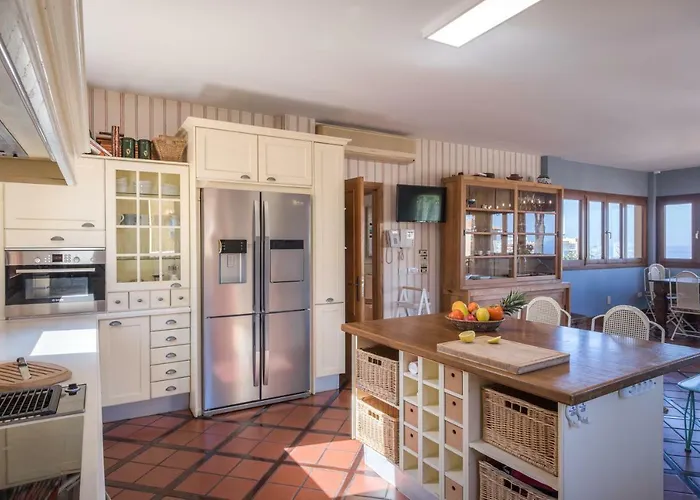 Limonero Puerto de la Cruz