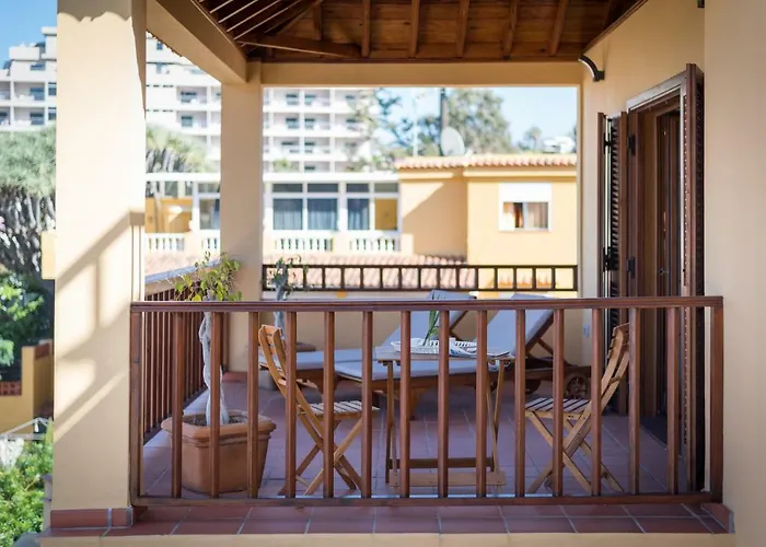 Limonero Puerto de la Cruz