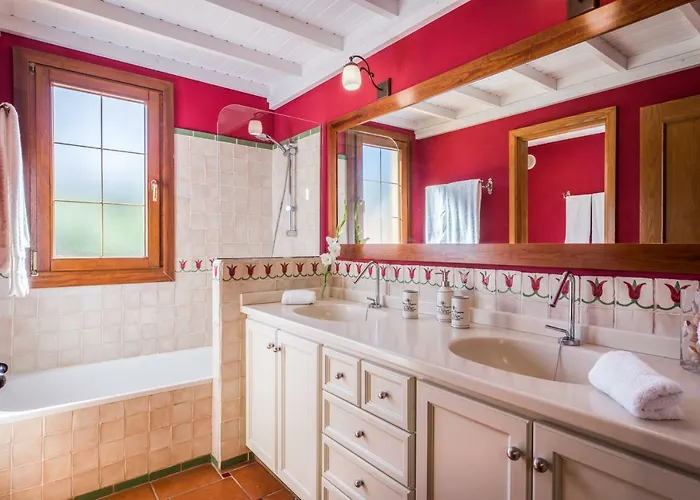 Limonero * Puerto de la Cruz