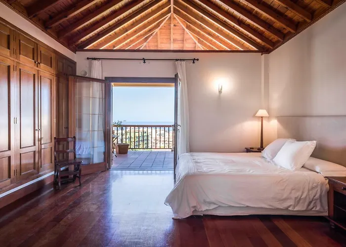 Limonero * Puerto de la Cruz