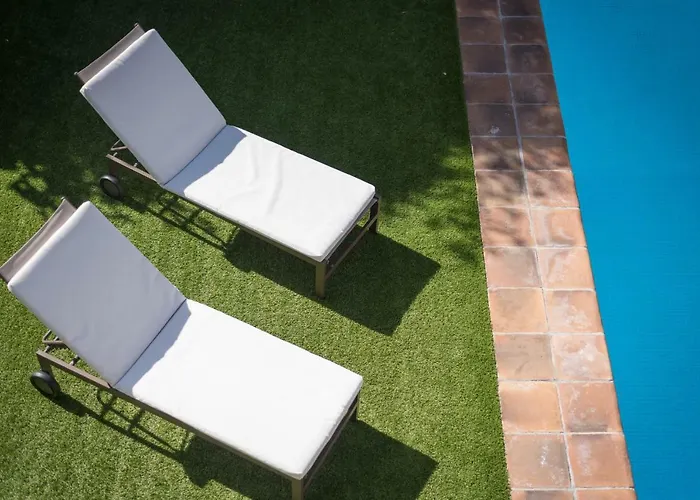 Limonero * Puerto de la Cruz