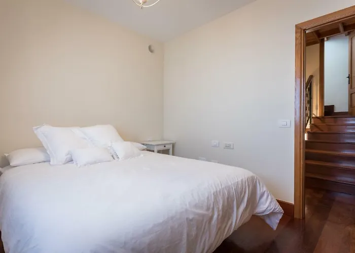 Limonero * Puerto de la Cruz