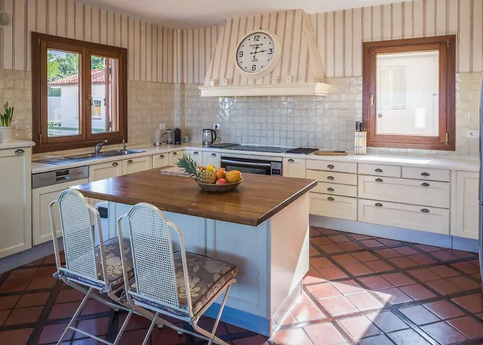 Limonero * Puerto de la Cruz