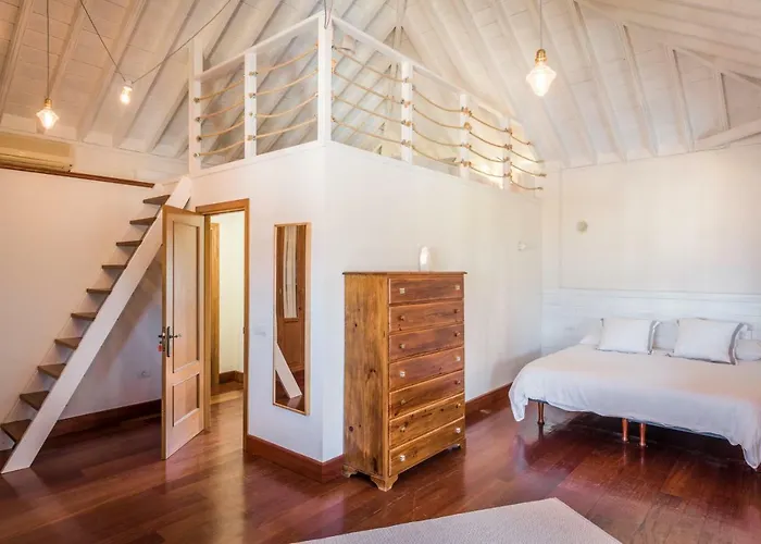 Limonero Puerto de la Cruz